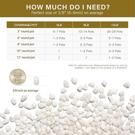 NUPICK 3 lbs Pebbles for Indoor Plants, 3/8 Inch Pea Gravel for Fish Tank, Polished Decorative Rocks for Succulent, Natural River Stones for Vases, Cactus, Landscaping, Bird Bath, Aquarium, White
