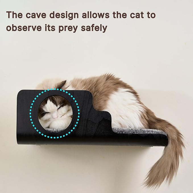 LIORCE Cat Wall Shelves, Creative Design Cat Shelf with Peephole, 19 x 10 inch Cats Wall Furniture with Comfortable Pad, Cats Perch for Sleeping, Playing, and Scratching, Walnut