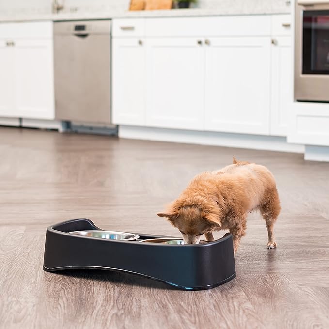 IRIS USA Elevated Dog Bowls Adjustable Stand, Raised Feeding Station with 2 Stainless Steel 64 oz Bowls, Spill Guard, Dual Height 12.25" or 4.63", Made in USA, Black