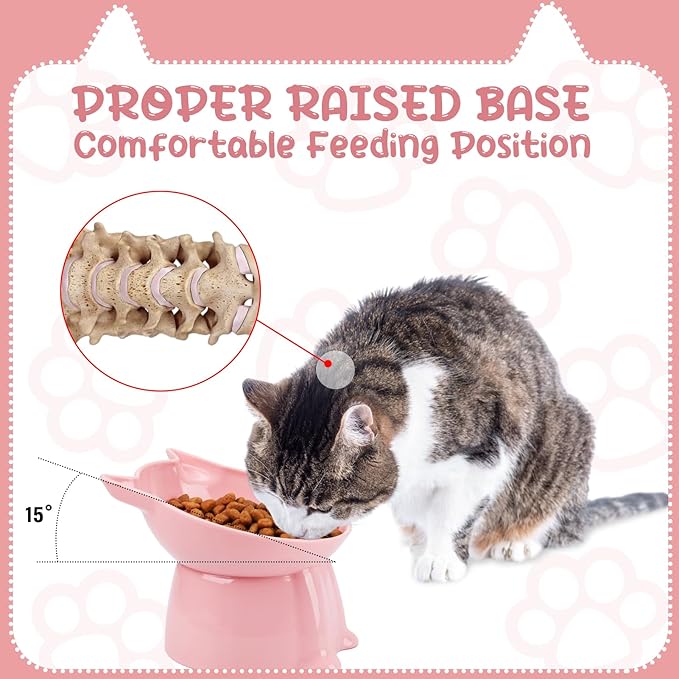 3 Pcs Elevated Cat Bowls 15°Raised Cat Food Bowl with Silicone Mat Whisker Friendly Anti Vomiting Cats Dishes Pet Food and Water Bowls for Indoor Cats Kittens