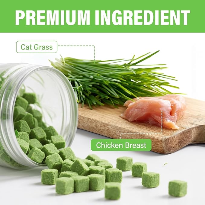 Cat Grass Treats for Indoor Cats | Salmon & Catnip Dental Snacks | Hairball Control & Teeth Cleaning | Freeze-Dried Training Rewards