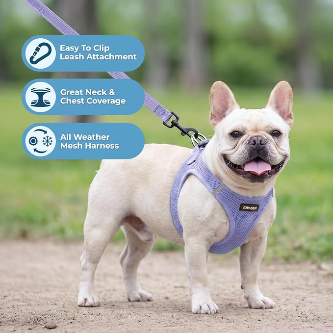 Best Pet Supplies Voyager Step-in Air All Weather Mesh Harness and Reflective Dog 5ft Leash Combo with Neoprene Handle, for Small, Medium and Large Breed Puppies - Lavender, S