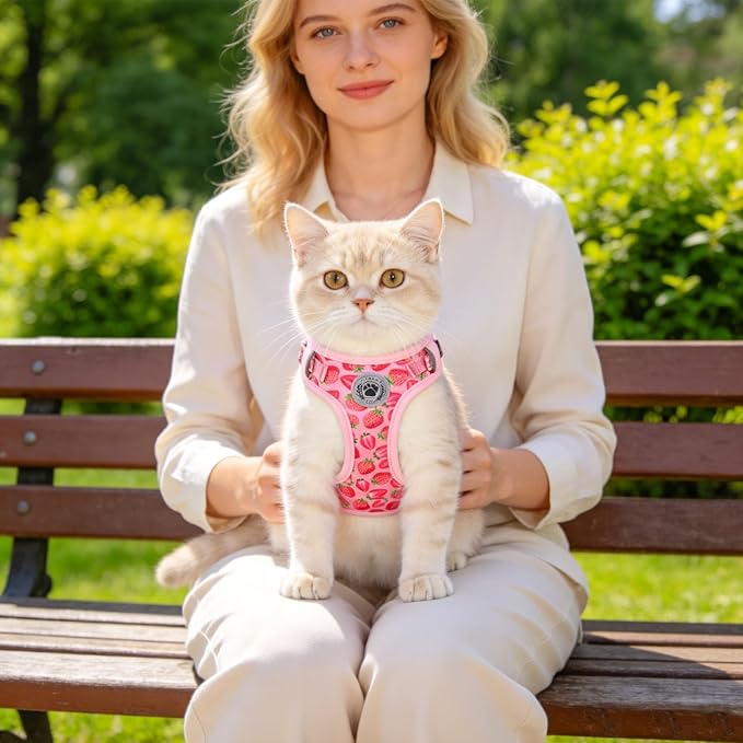 BEAUTYZOO Cat Harness and Leash Set for Walking Escape Proof, Neck Release Adjustable Harness for Kitten Puppy Small Medium Large Cats, Soft Cute Easy Control Small Cat Harness for Cats Boy and Girls