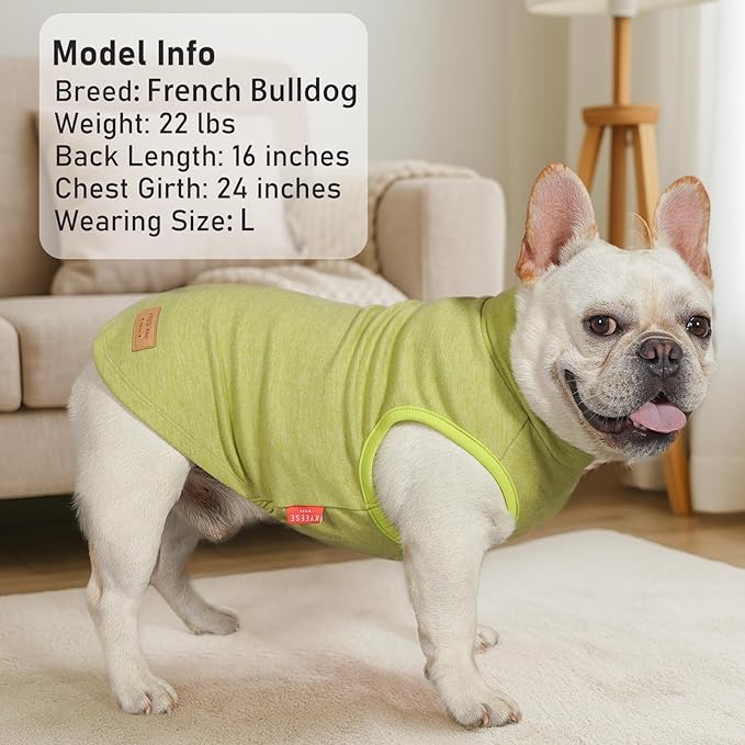 KYEESE 2Pack Dog Sweater Stretchy Dogs Clothes Soft Pets Clothes Warm Pet Coats Dog Sweaters for Small Dogs Male Turtleneck Small Pet Sweaters Pullover Pets Sweatshirt