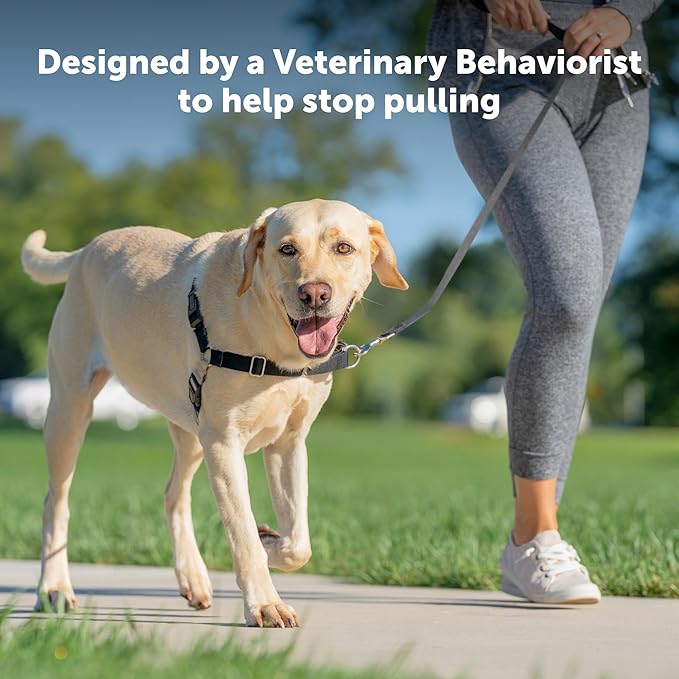 PetSafe Easy Walk Harness for Dogs - Pull-Free Walks - Patented Martingale Loop Design - Front Chest Leash Attachment - Comfort Straps - Breathable Harness Design - Large, Raspberry/Gray
