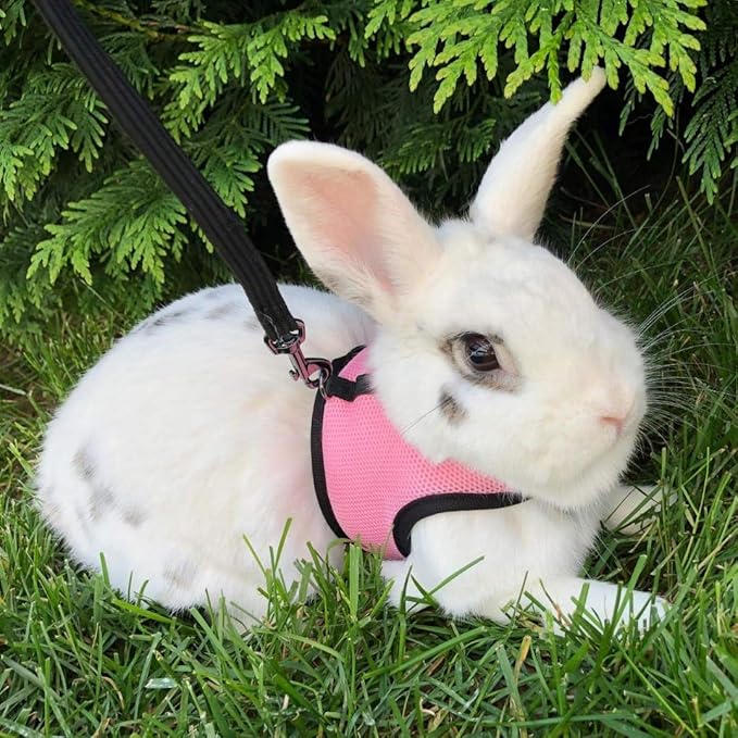 PETTOM Bunny Rabbit Guinea Pig Harness Stretchy Elastic Leash Cute Soft Mesh Small Pet Harness No Pull Comfort Outdoor Walking Jogging Padded Vest for Ferret Guinea Pig (Pink,L)