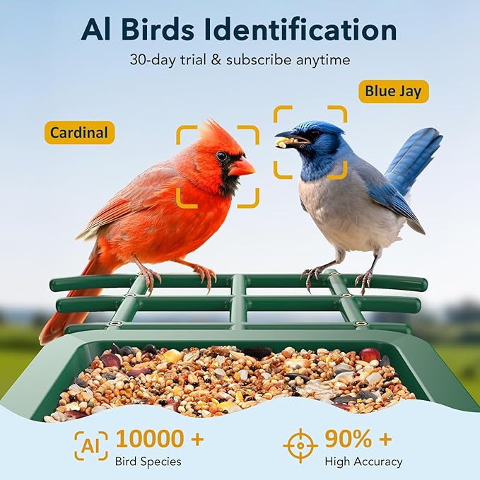 PeckCam Bird Feeder with Camera Solar Powered, AI Identify & Auto Capture with 32GB Card, 2K HD Live Video Smart Bird Feeder Camera Instant Notifications in Backyard, Gift for Bird Lovers
