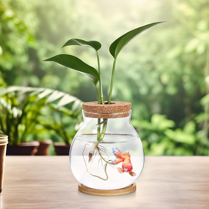 Beavorty Desktop Fish Tank Small Glass Fish Bowl with Cushion 5.51X5.11X1.18In Hydroponic Plant Terrarium Betta Bowl for Home Office Decoration