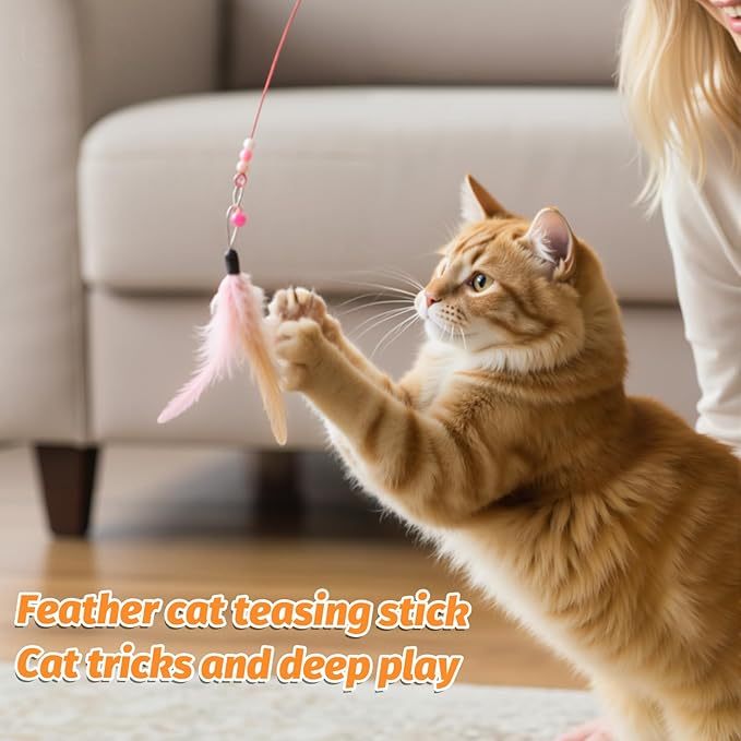 Cat Feather Toy, 4PCS Cat Toys for Indoor Cats Interactive Cat-Feather Wand Cats Feather Toys for Bored Indoor-Cat Chase and Exercise