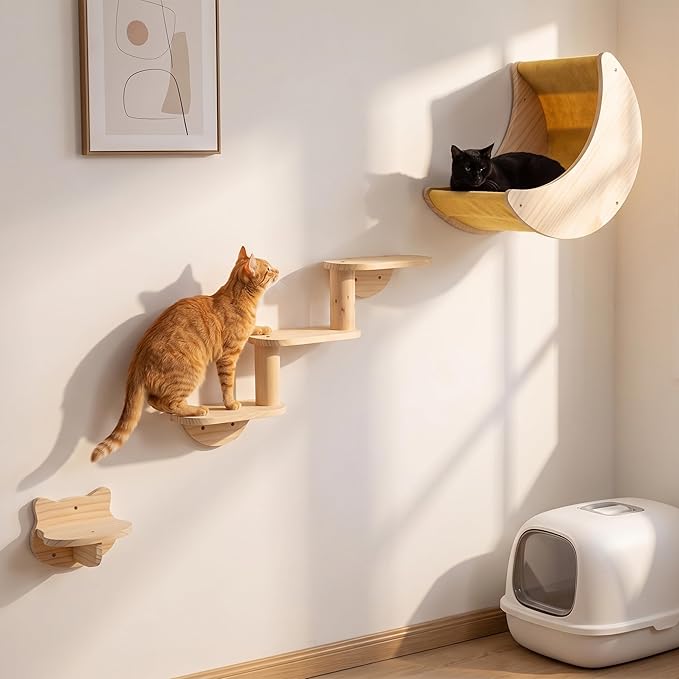 Cat Shelf for Wall Mount Hammock with 3-Levels Climbing Ladder and Shelves Moon Cats Wall Furniture for Activity Indoor Kitty (3-Levels Steps)