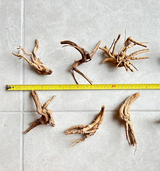 YZHZOM 8pcs Natural Small Spiderwood Driftwood for Aquarium Decor Aquarium Driftwood Freshwater Reptile Driftwood Aquarium spiderwood (spiderwood 5-6inch 8pcs)