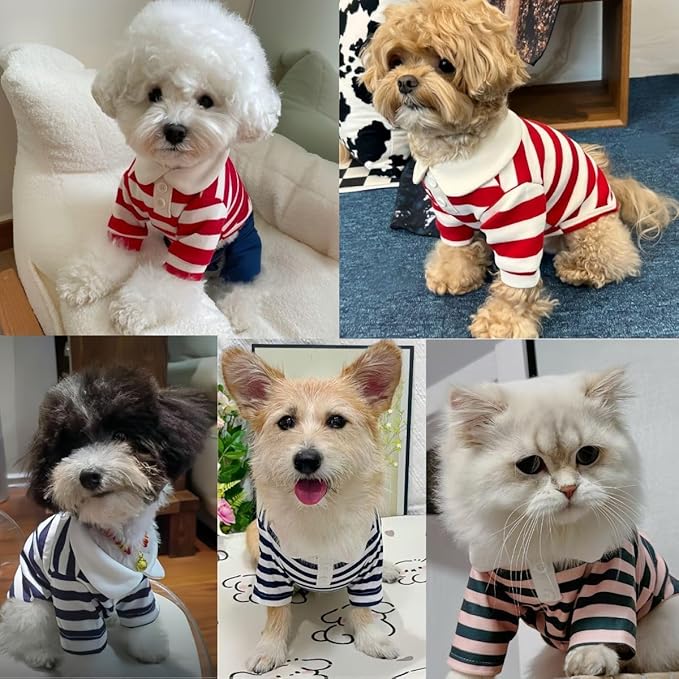 MANON ROSA Dog Clothes, Designer Boy Polo Shirt for Small Medium Dogs, Soft Puppy Outfit, Breathable Male Yorkie Chihuahua Shih Tzu Poodle Kitten Cat T-Shirt, Birthday Gifts - Red, XL, Fit 12-16.5lbs