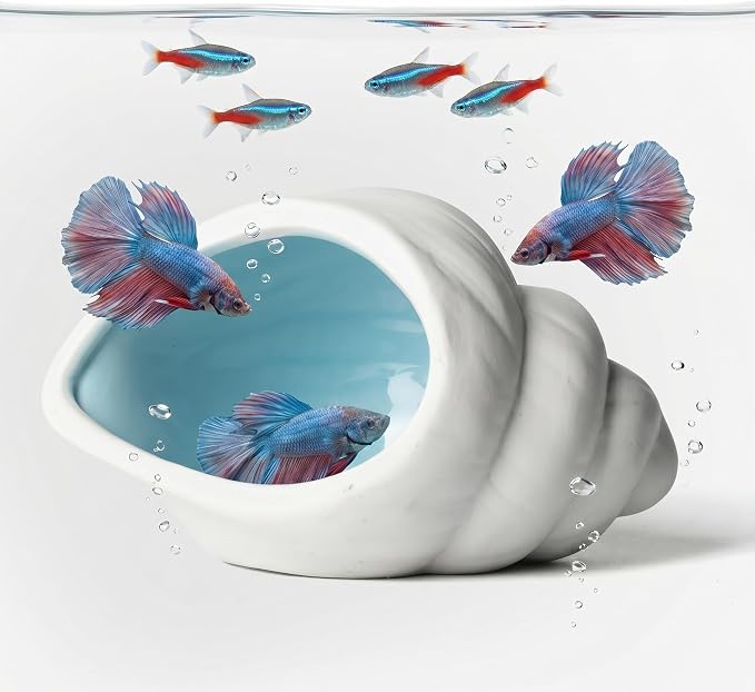 Ceramic Aquarium Cave, White Conch Shell Betta Fish Tank Decor | Smooth Glaze and Rounded Edges Create a Roomy Hideout for Betta Fish, Shrimp, Pleco and Dwarf Cichlids; 5.91 x 3.74 x 3.35 in
