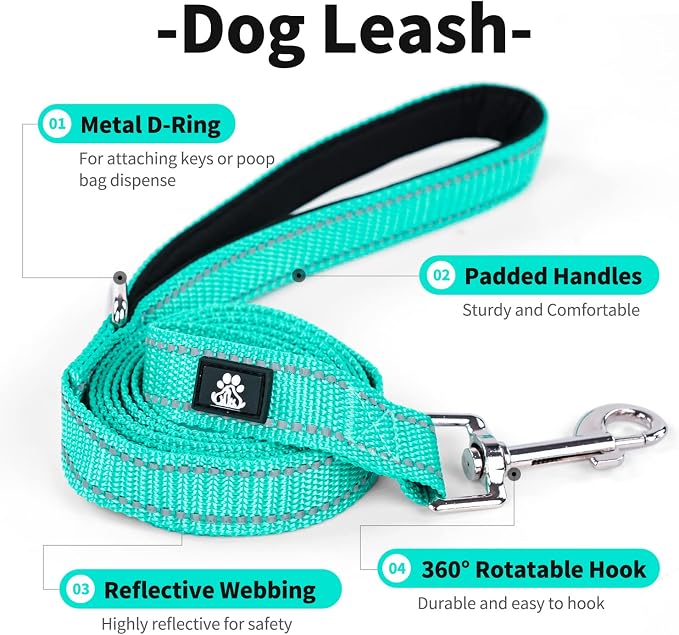 IVY&LANE 2 Pack Reflective Dog Collars and Leashs Set,Adjustable Neoprene Padded Dog Collar for Puppy, Breathable Nylon Pet Collar for Small Medium Large Dogs(Small,Blue+Teal)