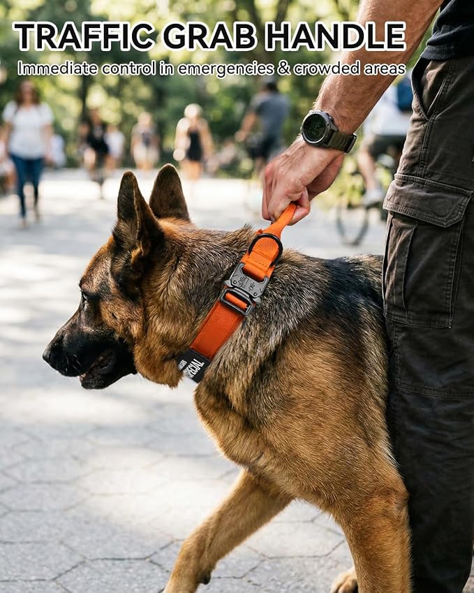 Joytale Tactical Dog Collar with Handle and Metal Buckle, Heavy Duty Padded Military Collar with 2 Patches for Training, Adjustable for Medium Dogs, Orange, M