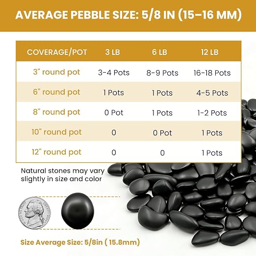Polished Black River Rocks - 5/8 Inch Decorative Stones for Aquarium, Landscaping, Vase Fillers & Indoor Plants,Highly Polished Jet Black Pebbles for Garden, Succulents, Home Decor-12LB