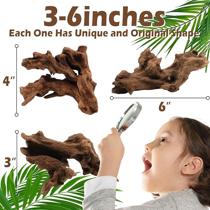 6PCS Natural Driftwood for Aquarium & Reptile Tank, 3–6 Inches Unique Wood Decor for Fish Tank, Turtles, Lizards, Snakes, Natural Driftwood for Home Decor