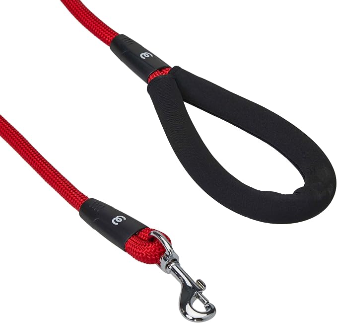 Blueberry Pet Classic Red Dog Leash & Collar Set, Puppy Essentials, Large Size, 4 ft Rope Leash, Neoprene Padded, Gentle Leader for Dogs, Heavy Duty Dog Leashes