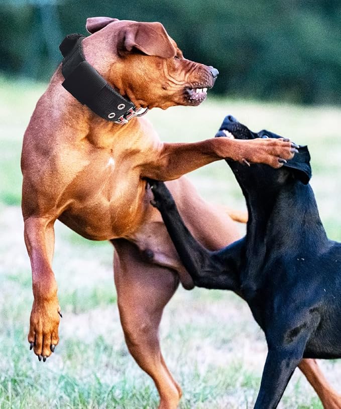 Dog Collar for Large Dogs - 2 in Black Collars with Handle for Extra Large Breed Dogs, Heavy Duty K9 Nylon Pet Tactical Collar XL, Best Choice for Pitbull Doberman Rottweiler 17"-22"