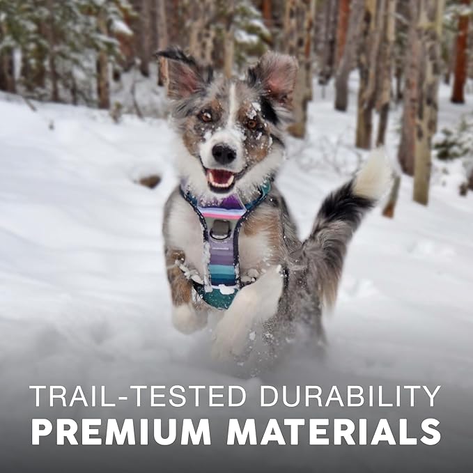 Embark Adventure Large Dog Harness – No-Pull, Reflective Trim, Military-Grade Nylon, Front Clip with Gel-Lined Handle, Soft & Padded, Suitable for All Breeds