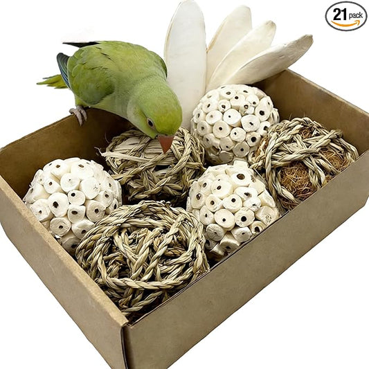 Bird Toys Sola Balls Parakeet Toys Soft Natural Chew Grass Balls with Cuttlebone for Parrots Conures Rabbits Hamster Guinea Pig Chinchilla (Style 1, 10 PCS)