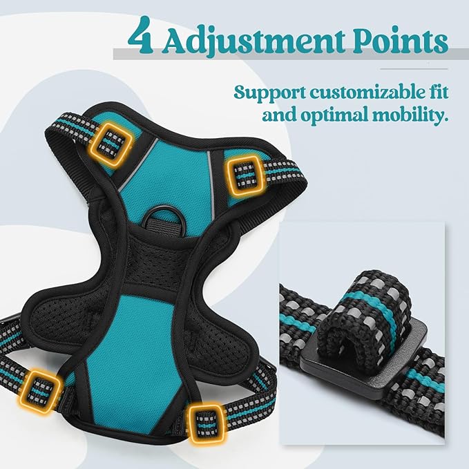 rabbitgoo Dog Harness No Pull with 2 Leash Clips, Adjustable Soft Padded, Reflective Oxford No Choke Pet Vest with Easy Control Handle for Puppy, Teal, XS