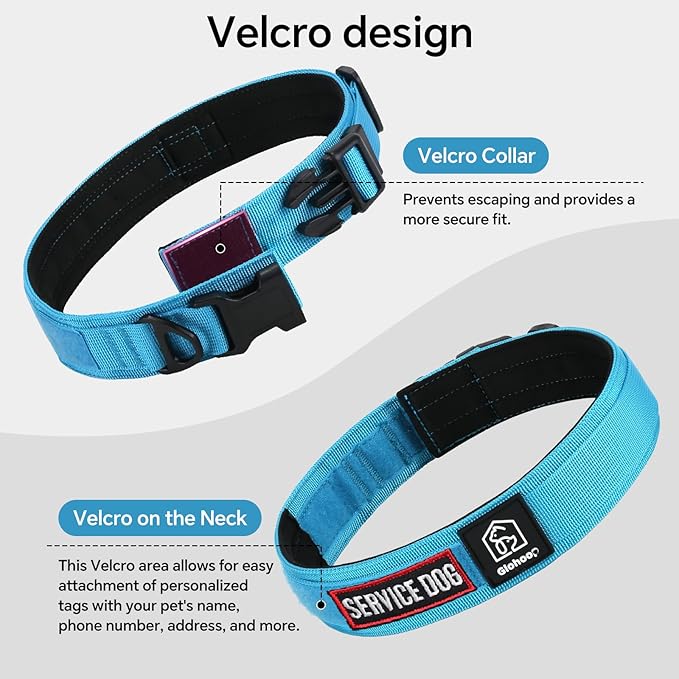 Tactical Durable Dog Collar, Metal D-Ring, Adjustable Heavy Duty Dog Collar with Heavy Quick-Release Buckle for Medium Large Dogs (Blue, L)