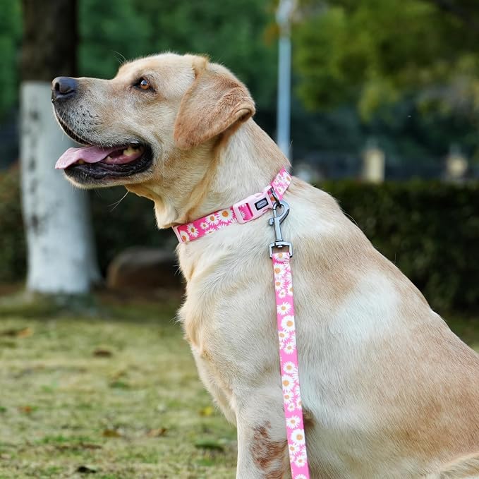 Dog Collar and Leash Set, Cute Pink Daisy Pattern, Polyester Material, 5ft Leash, for Small Dogs.(Small, Pink Daisy)