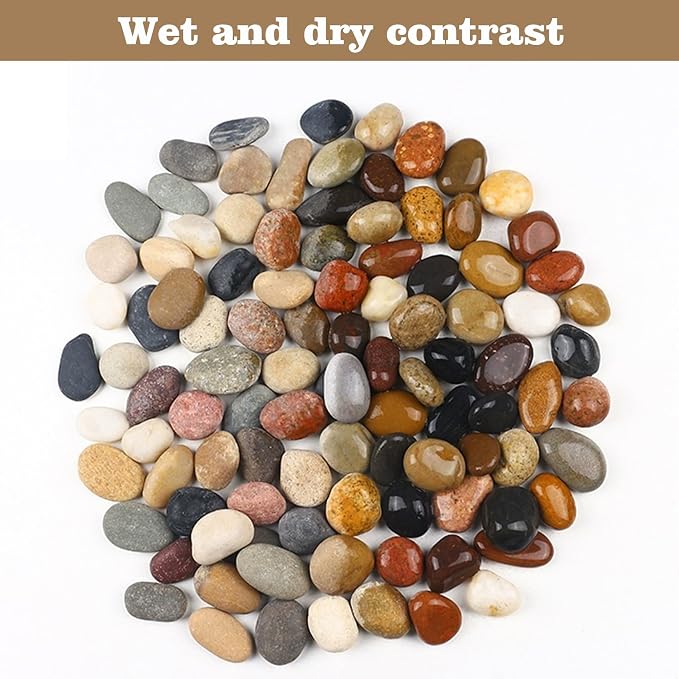Natural River Rocks-5 lbs of Pebbles and River Stones,2-3 Inch Plant Rocks for Landscaping,Garden Paving,Crafting,Walkways,and Outdoor Decorative Stone,Mexican Beach River Rocks