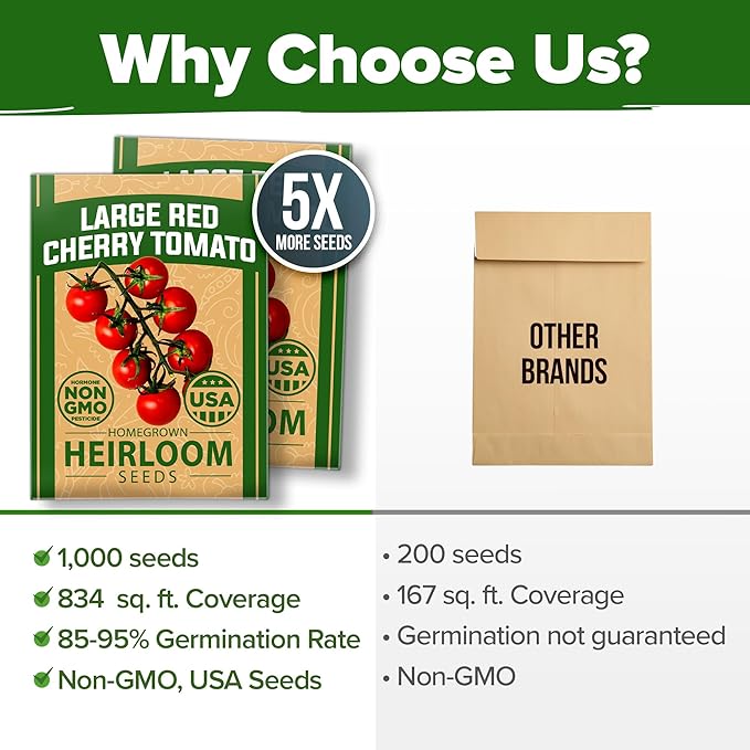 HOME GROWN Large Red Cherry Tomato Seeds 1000+ Heirloom Non-GMO Seeds for Planting, High Germination,Indeterminate, Sweet & Juicy Salad Tomatoes,Prolific Garden Crop,Sustainable (Solanum lycopersicum)