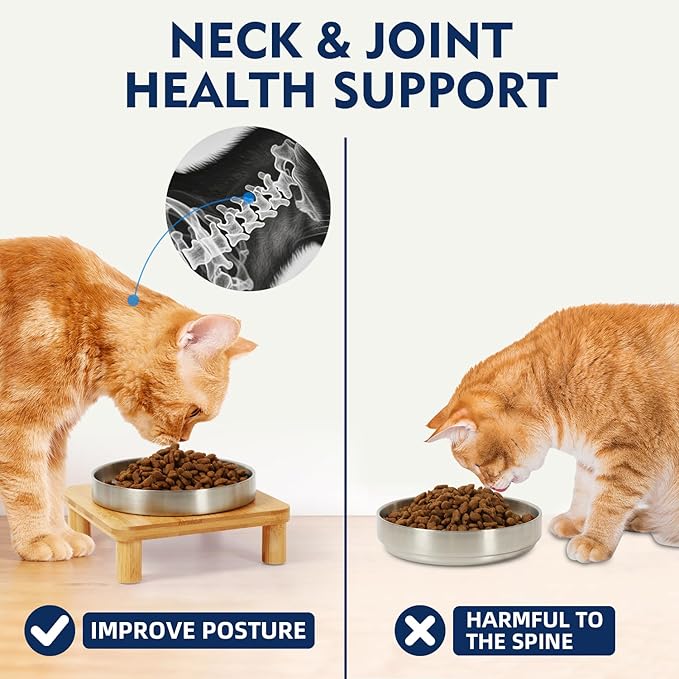 DoogCat Elevated Cat Bowls for Indoor Cats – Raised Bamboo Cat Bowl Stand with 5.5 Inch Wide Stainless Steel Dishes, Pet Food Table Plate for Easy Feeding, Whisker Friendly(Silver,Set of 2)