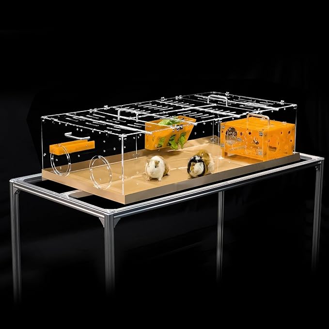 GuineaLoft™ Model-A1 Acrylic Guinea Pig Cage w/Clear Acrylic Lid, Supporting Beams & Connecting Doors - Large 4ft(L) x 2ft(W) x 1ft(H) Expandable C&C Cage, Also for Bunnies, Button Quails, Hedgehogs