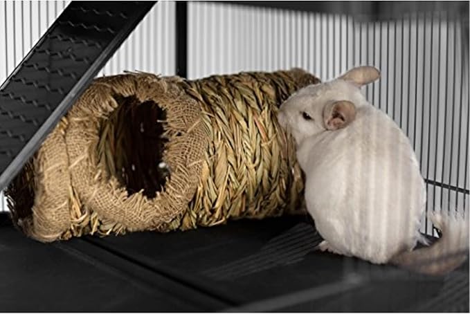Prevue Pet Products Hendryx Nature's Hideaway Grass Tunnel Toy - for Guinea Pigs, Dwarf Rabbits, Rats, Ferrets, Woven Hay & Grass, Natural Hide & Explore Toy