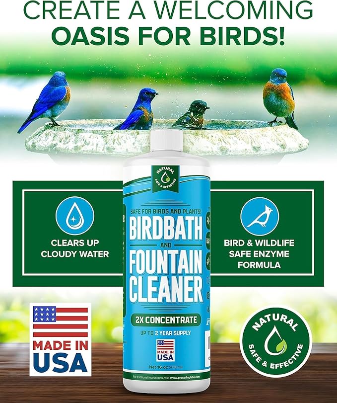 Birdbath & Fountain Cleaner - 16 oz Fountain Maintenance Outdoor Indoor - Bird Bath Cleaner