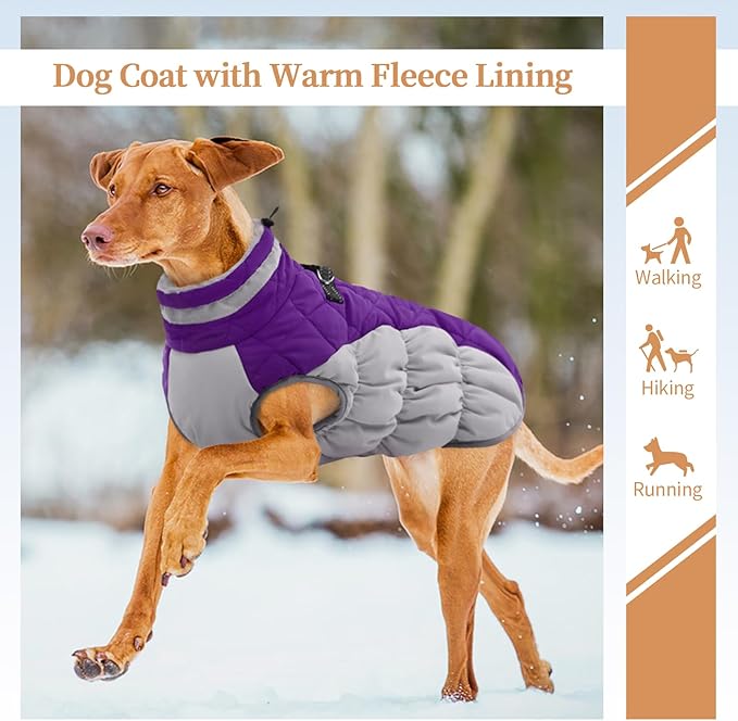 Small Dog Coat,Dog Jackets for Small Dogs,Warm Winter Jacket, Puppy Coat with Harness Built in,Waterproof Dogs Jacket,Puppy Cold Weather Coats,Pet Winter Clothes Snowsuit Shih Tzu Bichon,Purple