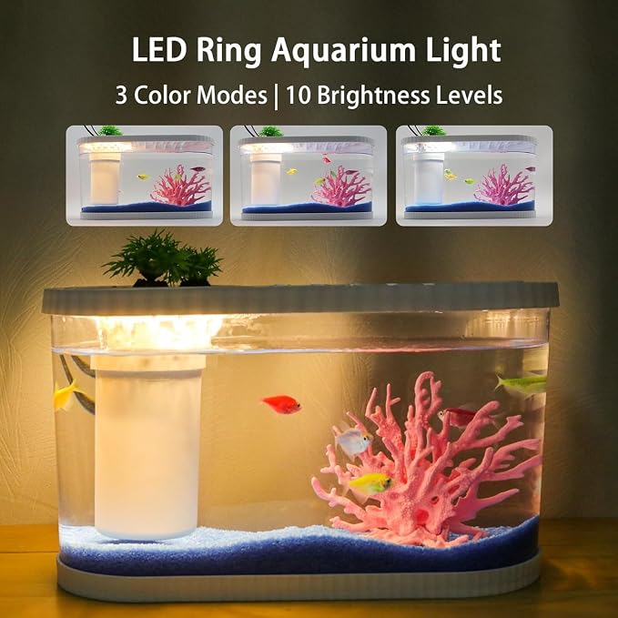 Fish Tank Kits,PC Small Aquarium Starter Kit,2.2 Gallon Nano Desktop Tank with Quiet Filter, Lid,Color-Changing Light&Decor for Betta Shrimp Guppy Jellyfish Goldfish Beta(12.6 * 7 * 5.6 Inch)