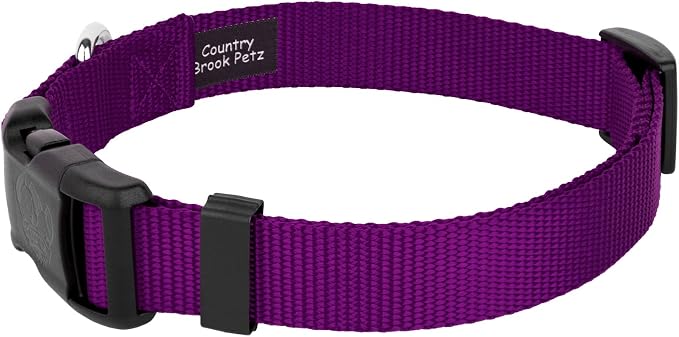 Country Brook Petz - Everyday Nylon Dog Collar and Leash - 10+ Cool Colors (3/8 Inch, Extra Small, Purple)
