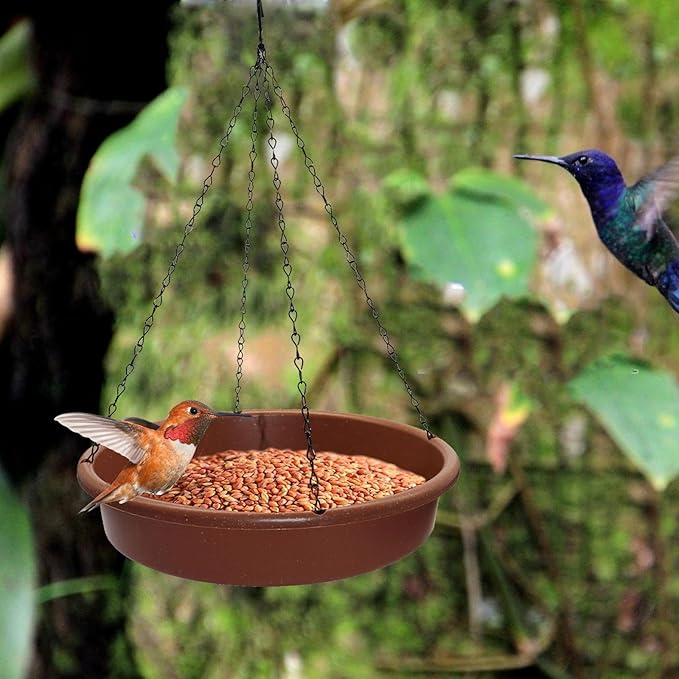 Bird Bath for Garden Hanging,Hanging Bird Bath Water Feeder,Bird Bath Outdoor for Parrot,Bird Baths for Outdoors,Birds Bath Accessories