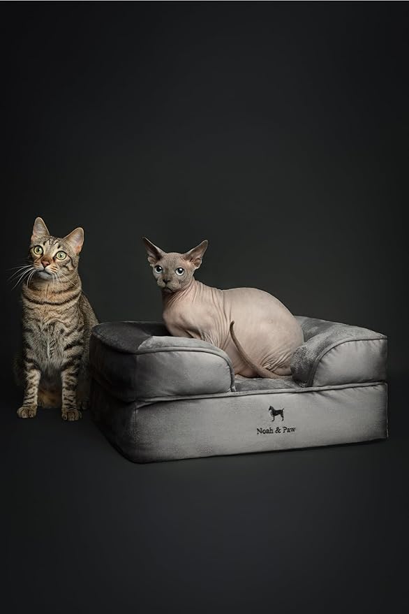 NOAH & PAW Small Dog Bed, 20x15x8 Inch, Cat Bed for Indoor Cats, Orthopedic Eggshell Memory Foam Infused with Cooling Gel, Waterproof Inner Cover Machine Washable (Velvet Collection)