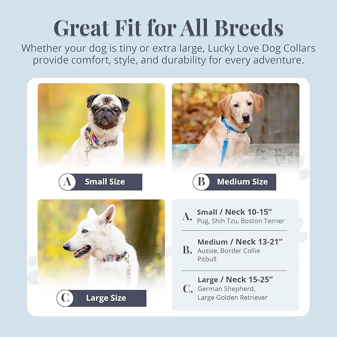 Lucky Love Dog Martingale Collar, Premium No Slip Martingale Collar for Medium Boy Dogs, Great for Whippets, Greyhounds, and More (Medium, Blue Laguna)