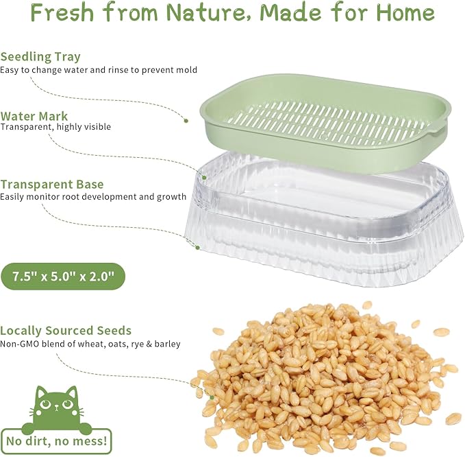 Cat Grass for Indoor Cats with 5 Pack Non GMO Wheat Seeds, Organic Grass Growing Kit, Soil-Free Planter, Perfect for Beginners, Cat Friendly Plants, Ideal Birthday Gift for Cat Lovers