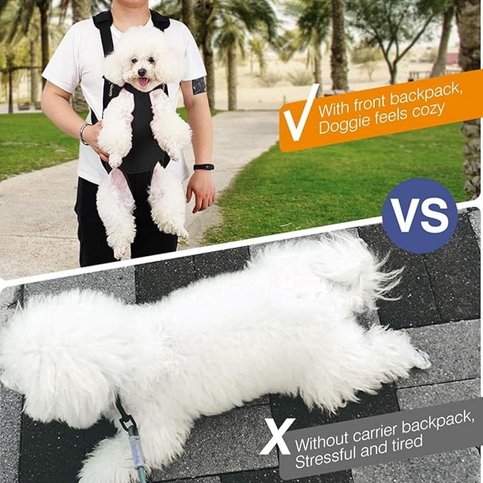 Lightweight Pet Backpack Carrier for Small Dogs & Cats - Easy-Fit Adjustable Straps, Basic Legs-Out Design, Durable for Daily Use (Fits Pets Under 15lb) (Yellow-White Color-Blocked, X-Large)