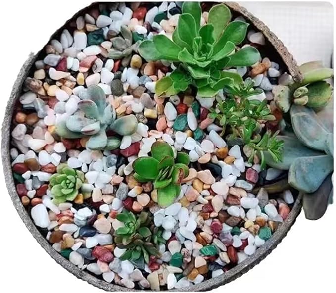 Boniosz 2LB Succulent and Cactus Gravel Pebbles, 1/4 Inch - 1/3 Inch Natural Decorative Polished Stones, River Rocks for Plants, Aquariums, Vases, Terrarium and Outdoor Gardening, 5 Mixed Colors