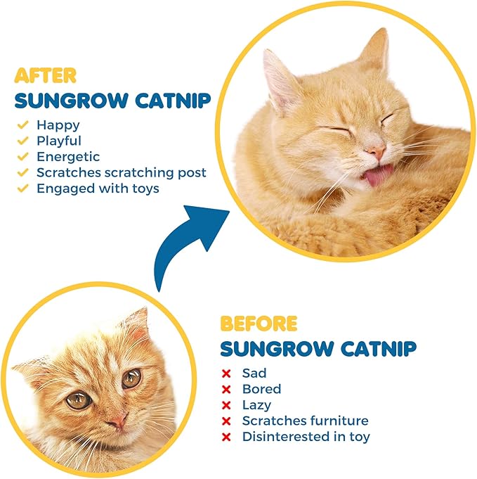 SunGrow Catnip for Cats, for Scratching Posts, Walls, or Pads, Designed for Refillable Plushies, Balls, and Bubble Solutions, Resealable Pouch, Pet-Attractive Soothing Scent,1.5 oz per Pack