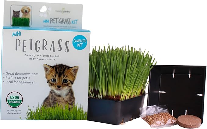 Handy Pantry Organic Cat Grass Kit - Includes 1 Tray, 1 Soil Puck, and Non GMO Wheatgrass Seed - A Healthy Treat for Cats, Dogs, Rabbits, and More