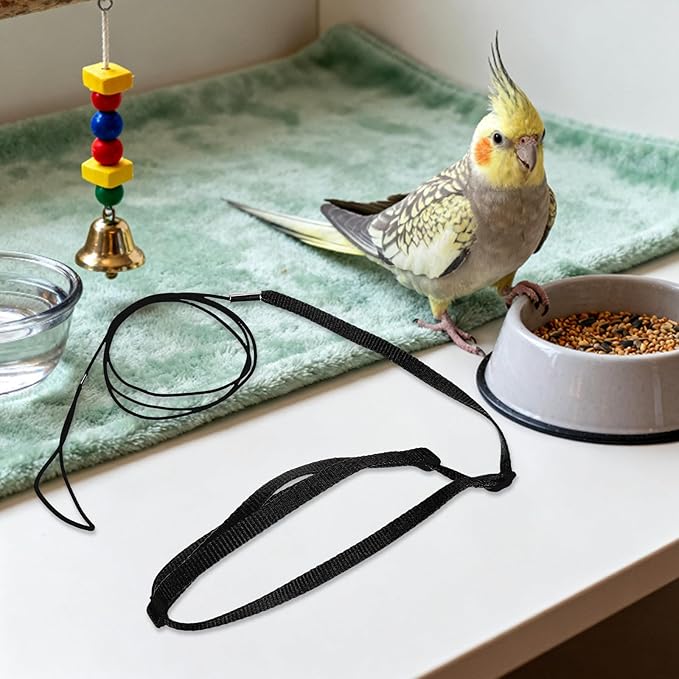 Parrot Flying Harness: Training Leash Rope - Breathable Chest Vest - Adjustable Line Kit for Cockatoo Recall Practice Balcony Walks Yard Outings