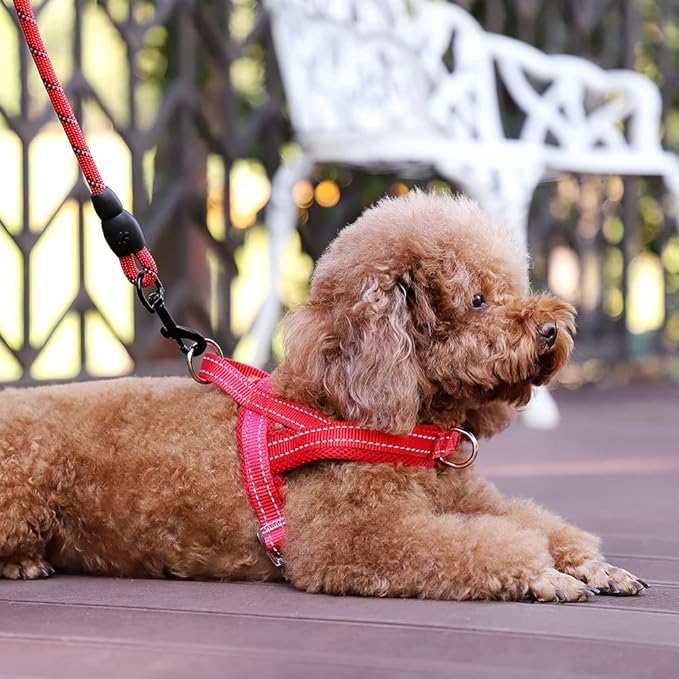 Plutus Pet No Pull Dog Harness with Breathable Mesh Padded, Adjustable Reflective Escape Proof Dog Harness, Quick Fit Dog Vest Harness for Small Medium Large Dogs(S, Red)
