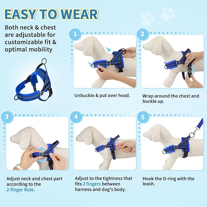 Lukovee No Pull Dog Harness and Leash Set, Soft Padded Small Dog Harness, Neck & Chest Adjustable Reflective Vest Puppy Harness with 4ft Lightweight Anti-Twist Dog Leash for Small Dogs (XXS, Blue)