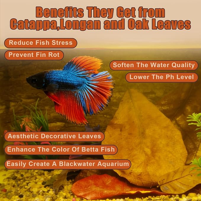 Indian Almond Leaves for Betta Fish,20Pcs Catappa,40Pcs Oak Leaves & 60Pcs Longan,Aquarium Water Conditioner Leaf,pH Balancing Water Conditioner Leaf for Betta Fish,Shrimp,Frogs,Axolotl Tanks