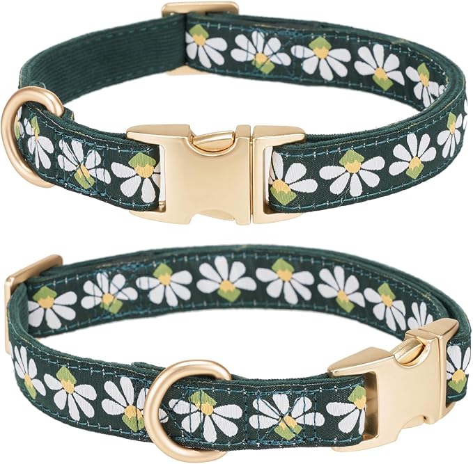Woven Dog Collar with Metal Buckle Adjustable Jacquard Retro Dog Collars for Small Medium Large Dogs(Green,L)